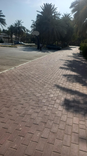 عکس پارک شهید دباغیان