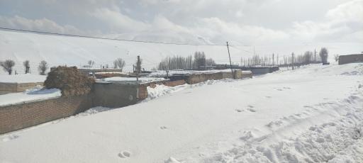 عکس دامن آباد