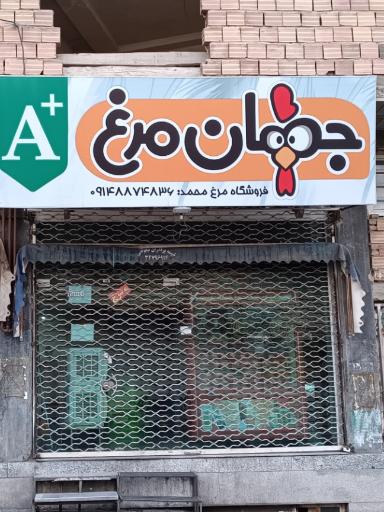 عکس جهان مرغ