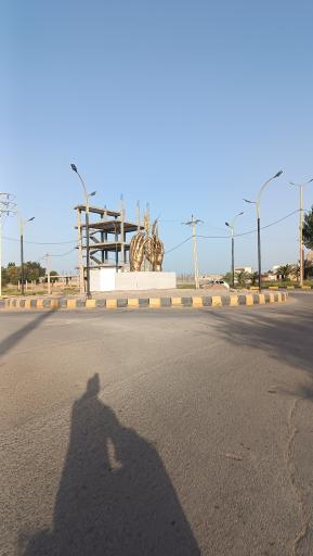 عکس میدان کشاورز (گندم)