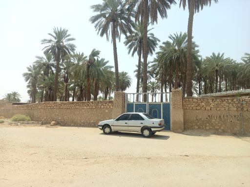عکس نصروان