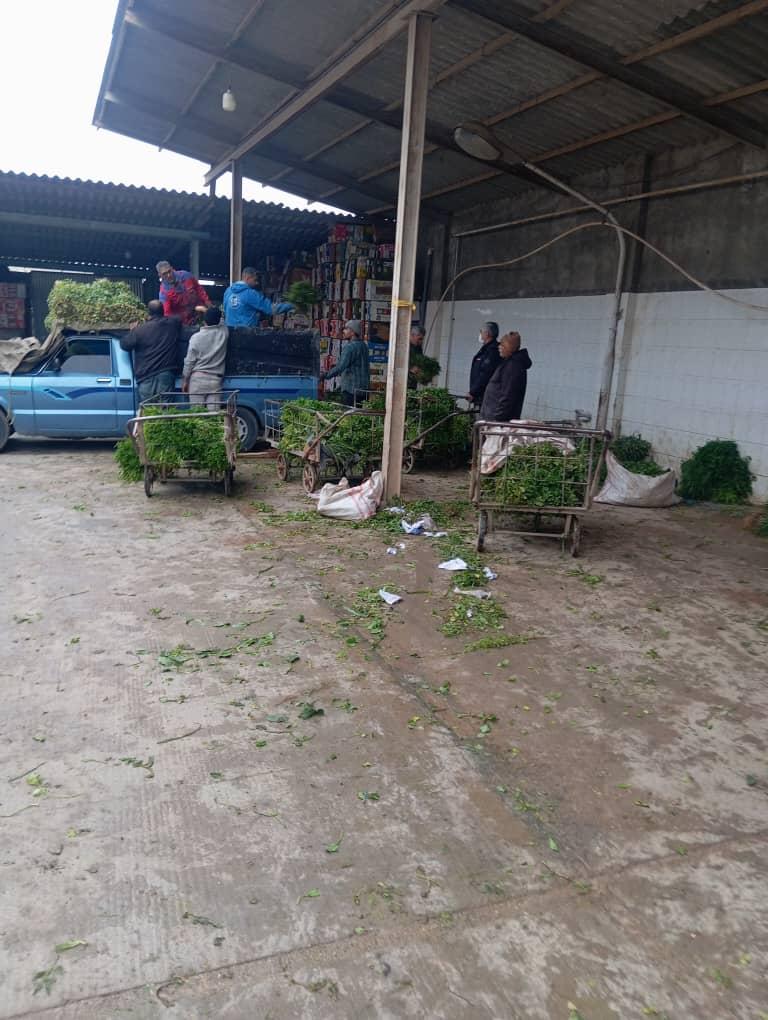 عکس میدان سبزی گنبد برادران هلاکو