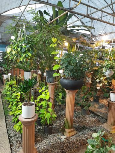 عکس نهالستان مهندس حاج حسن ترابی