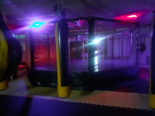 عکس باشگاه هنرهای رزمی اوژن 