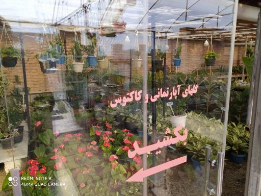 عکس نمایشگاه گل یخ