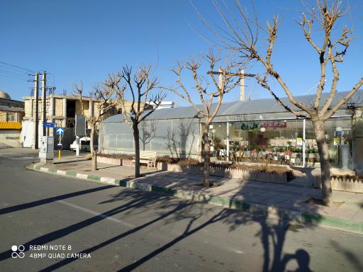 عکس نمایشگاه گل یخ