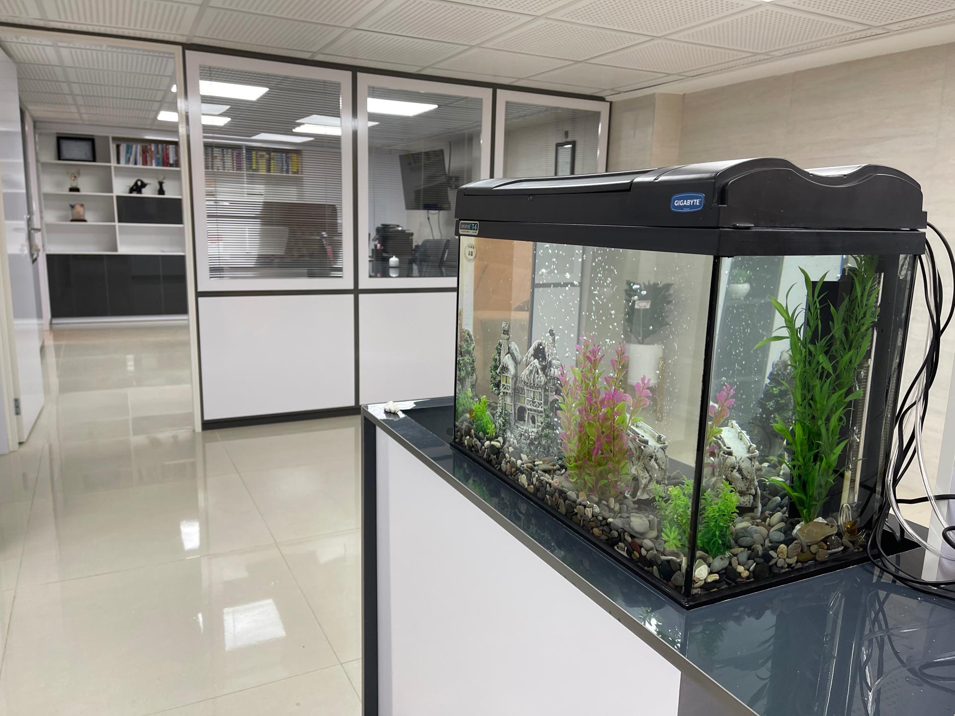 عکس شرکت کارگزاری سهم آشنا شعبه آباده