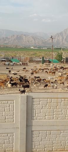 عکس پناهگاه حیوانات آشیان زیست زاگرس