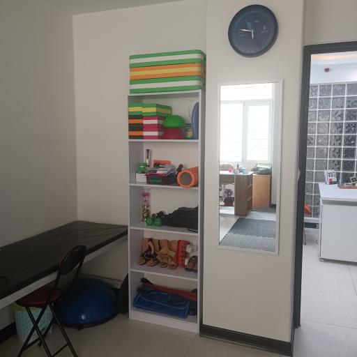 عکس کاردرمانی سیب سهرابیان