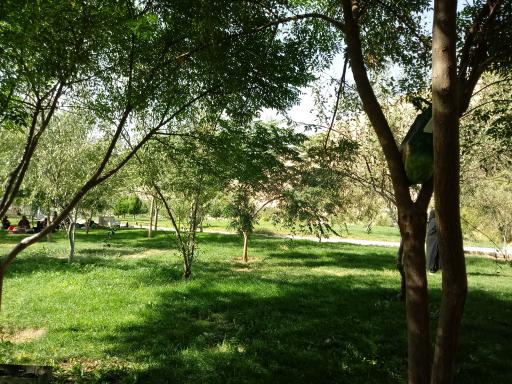عکس پارک کوهسار (آبشار)