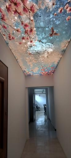 عکس اداره کل اوقاف و امور خیریه استان اصفهان