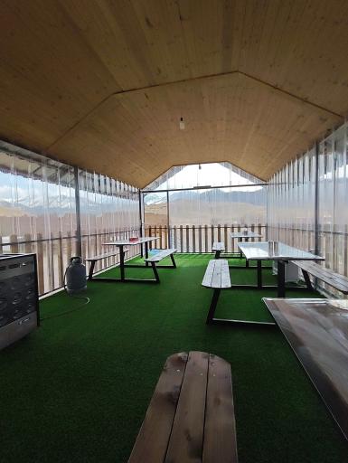 عکس ماهی کباب طنین