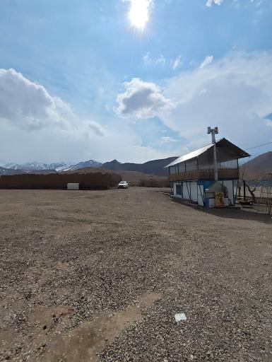 عکس ماهی کباب طنین