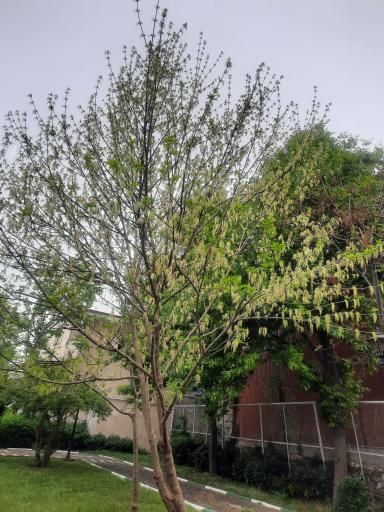 عکس پارک نارون 1