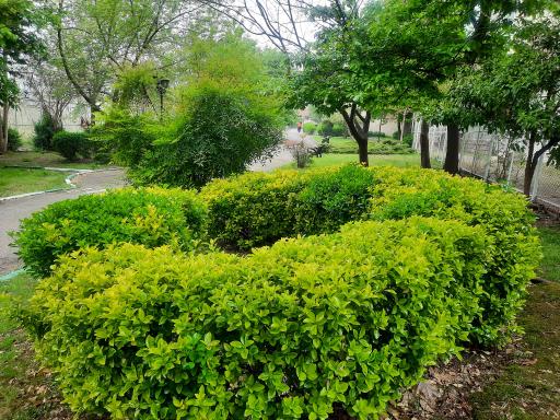 عکس پارک نارون 1