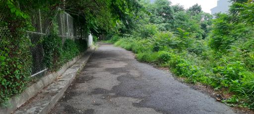 عکس پارک نارون 1