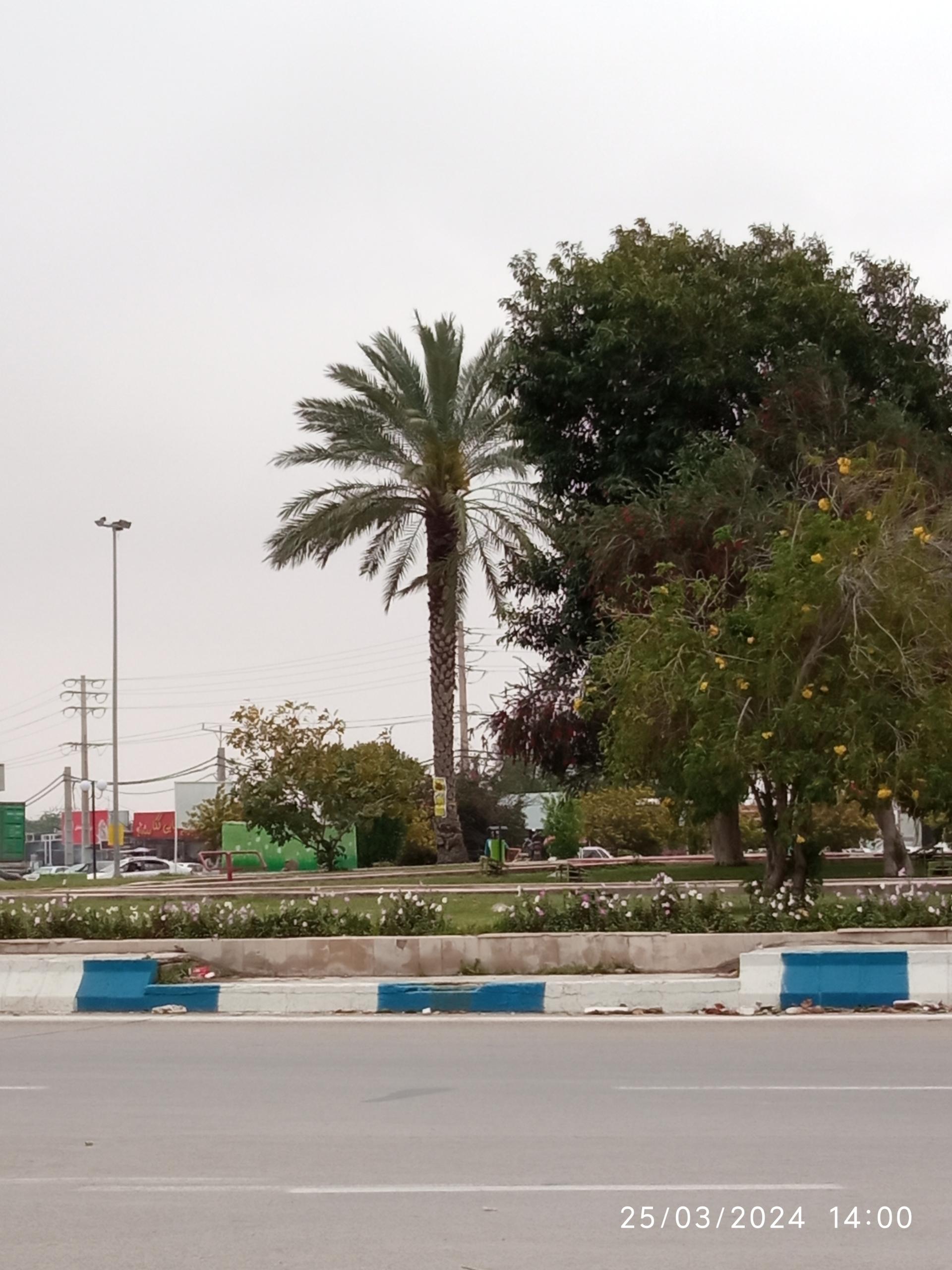 عکس میدان بسیج