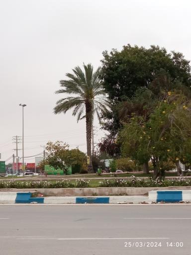 عکس میدان بسیج