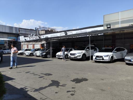 عکس کارواش دلفین