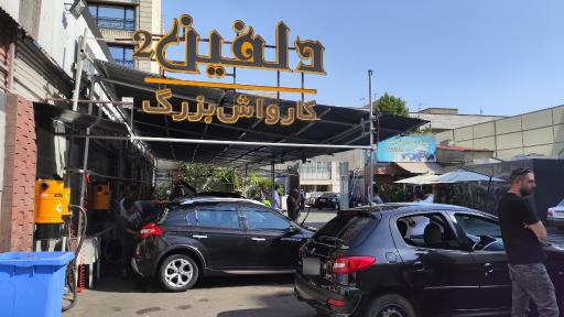 عکس کارواش دلفین