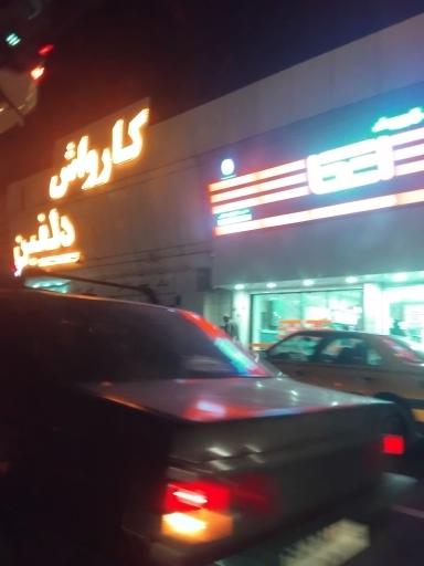 عکس کارواش دلفین