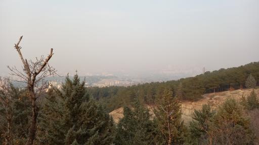 عکس پارک شیان کوثر