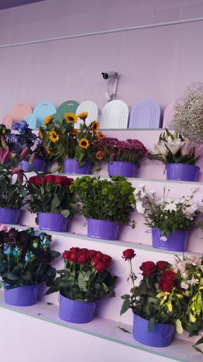 عکس گل فروشی 