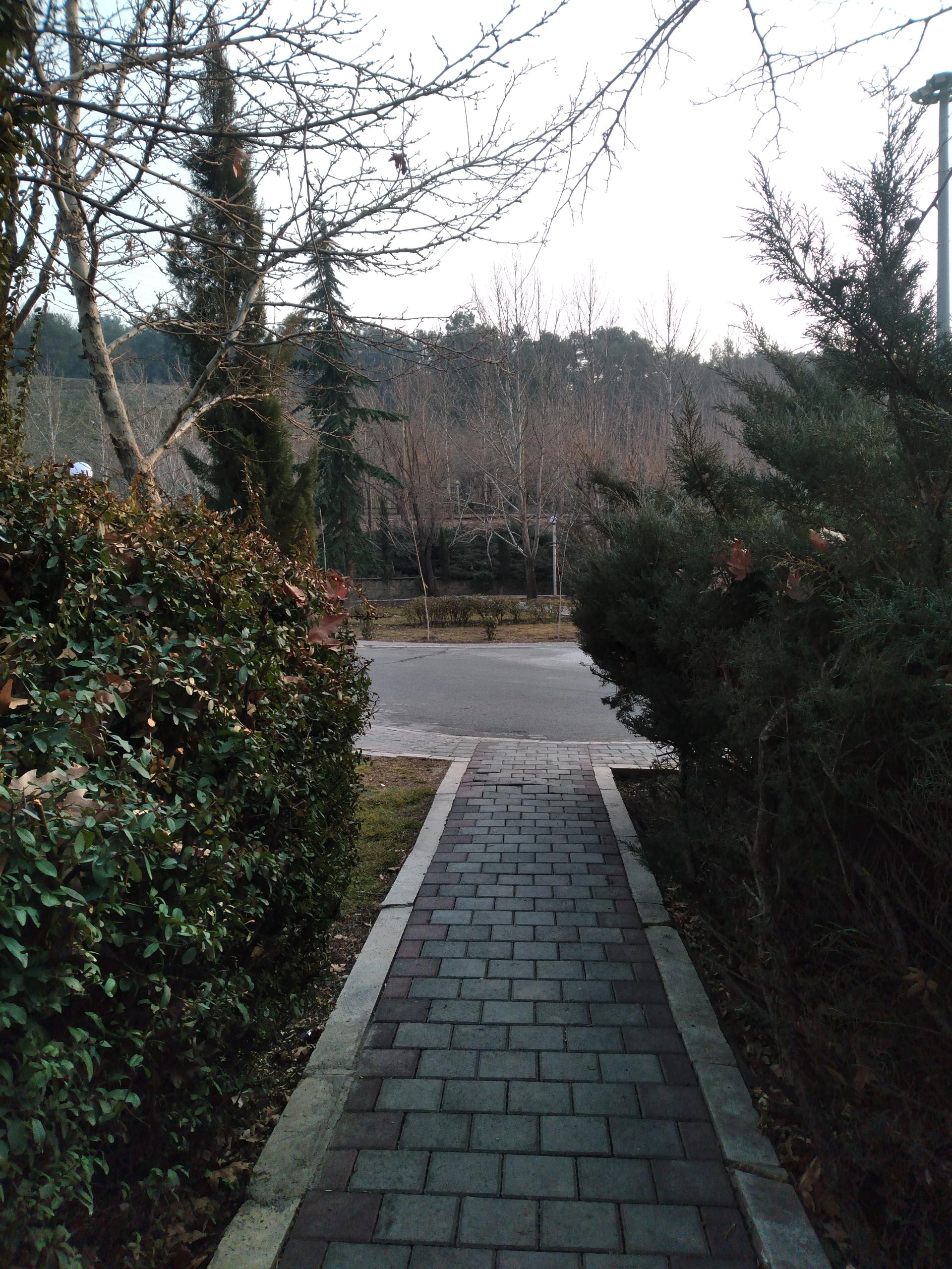 عکس پارک شیان کوثر