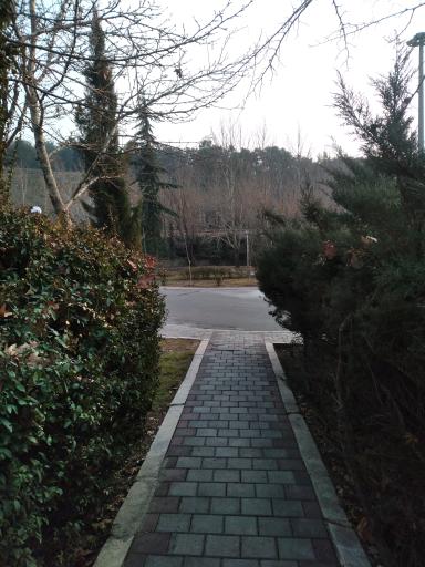 عکس پارک شیان کوثر