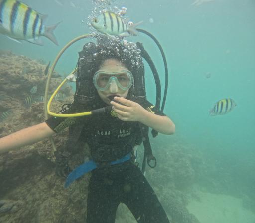 کلوپ دریایی پدیده