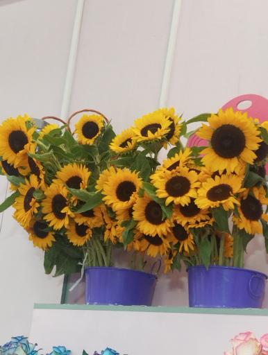 عکس گل فروشی 