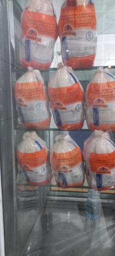 عکس مرغ کشتار روز جمشیدی مرغ طلایی