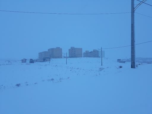 عکس مجتمع آفتابگردان