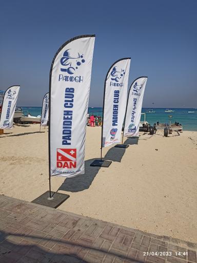 کلوپ دریایی پدیده