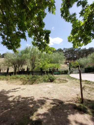 عکس پارک شیان کوثر