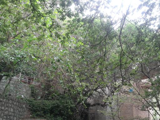 عکس پارک شیان کوثر