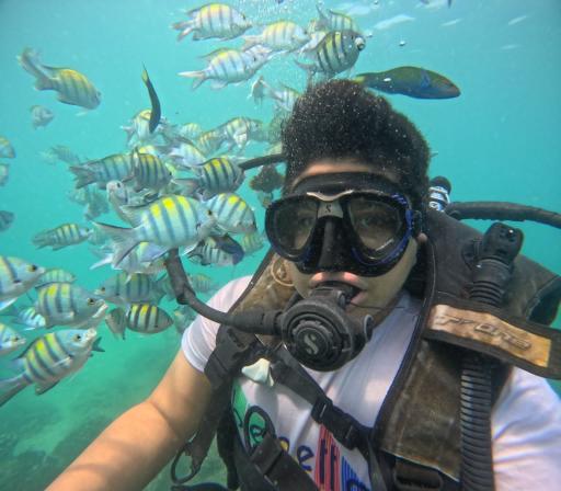 عکس کلوپ دریایی پدیده