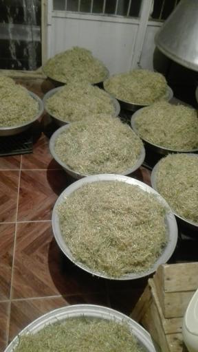 عکس کارگاه سمنوپزی سید