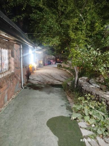 عکس باغ رستوران نگین