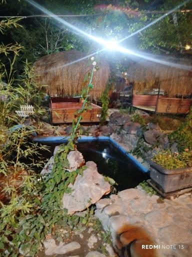 عکس باغ رستوران نگین