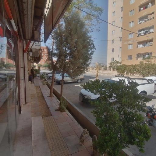 عکس شهر پروتئین و فست فود پاسارگاد