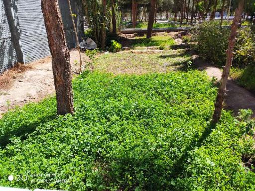 عکس پارک فدک