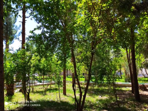 عکس پارک فدک