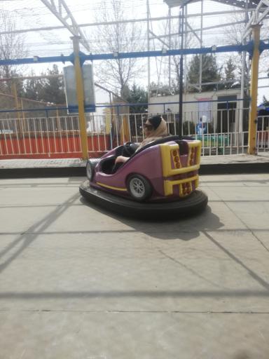 عکس شهربازی ابن سینا