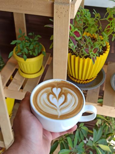 عکس کافی شاپ کافینو