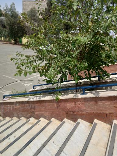 عکس دبیرستان و هنرستان دخترانه تقوی