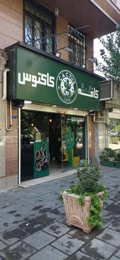 عکس کافه کاکتوس
