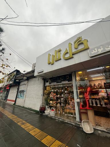 عکس گل سرای تارا