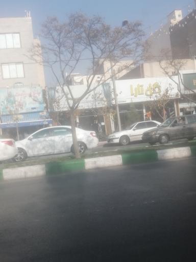 عکس گل سرای تارا