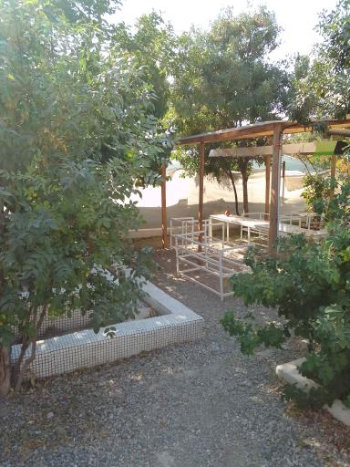 عکس چای بار ایرانی